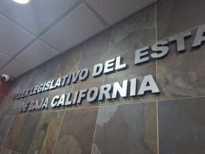 WhatsApp Image 2026-02-20 at 12.12.39 PM (1)